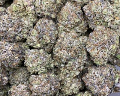 PINK OBLITERATION (MEGA GAS) - Image 5